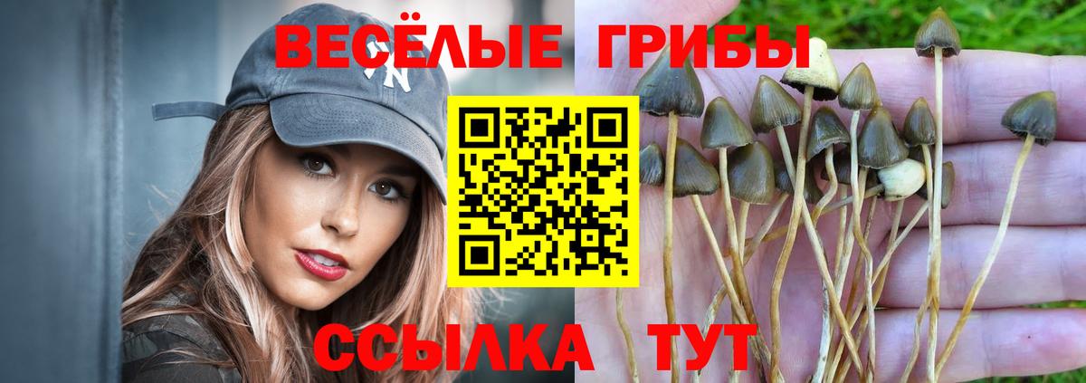 Псилоцибиновые грибы Psilocybine cubensis  Вход с VPN  Ливны 